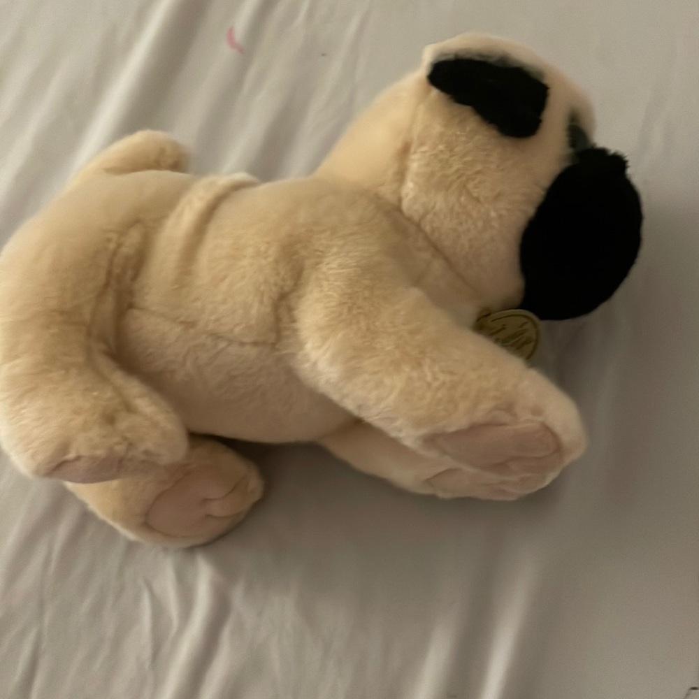 Pug from a boutique in London